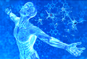 Activation ADN à 12 brins - Un Lieu de Lumière - cours à distance en ligne de soins énergétiques