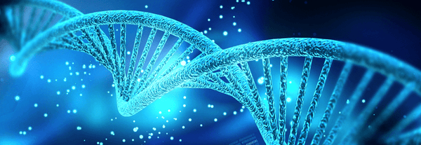 ADN - Un Lieu de Lumière - cours à distance en ligne de soins énergétiques