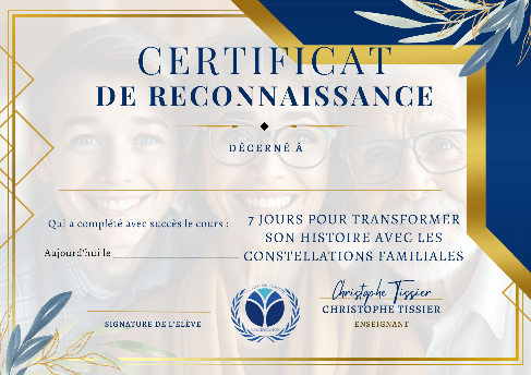 formation distance constellation familiale