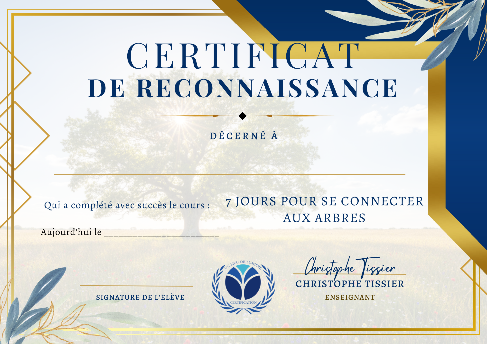 formation sylvotherapie certifiante