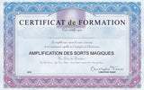 Amplification des Sorts Magiques - Un Lieu de Lumière - cours à distance en ligne de soins énergétiques