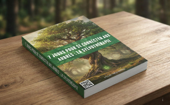 formation la sylvotherapie
