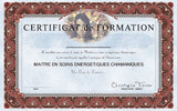 initiation chamanisme en ligne