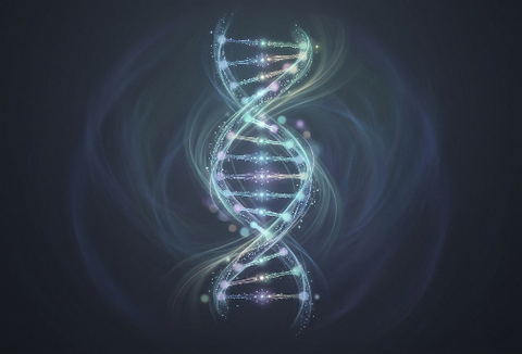 formations energetiques en ligne