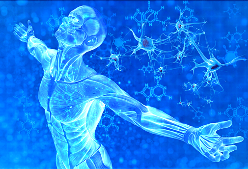 Activation ADN à 12 brins