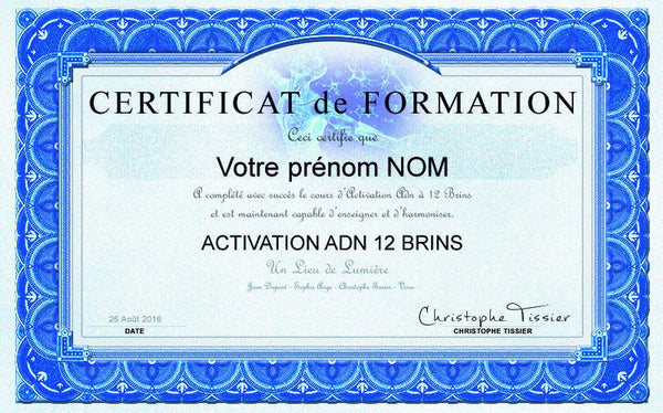 Activation ADN à 12 brins - Un Lieu de Lumière - cours à distance en ligne de soins énergétiques