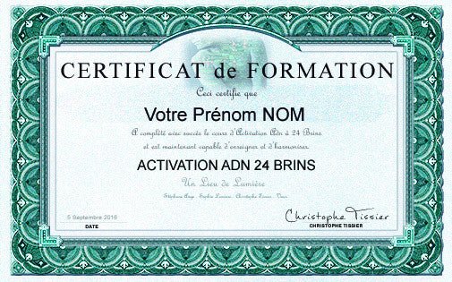 Activation ADN à 24 brins - Un Lieu de Lumière - cours à distance en ligne de soins énergétiques