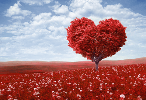 Amour Niveaux 3 et 4 - Renforcement des Flux - Un Lieu de Lumière - cours à distance en ligne de soins énergétiques