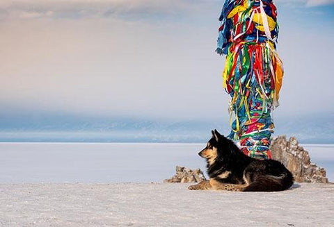 Connexion à Votre Voie Chamanique - Un Lieu de Lumière - cours à distance en ligne de soins énergétiques