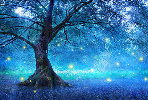 Reiki Shamballa Multidimensionnel - Un Lieu de Lumière - cours à distance thérapies énergétiques