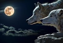 L' Harmonisation du Loup - Un Lieu de Lumière - cours à distance en ligne de soins énergétiques