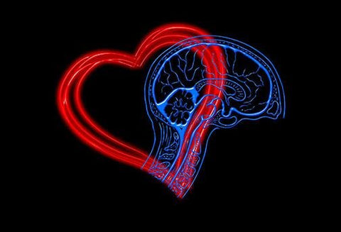 La Connexion Cerveau Coeur - Un Lieu de Lumière - cours à distance en ligne de soins énergétiques