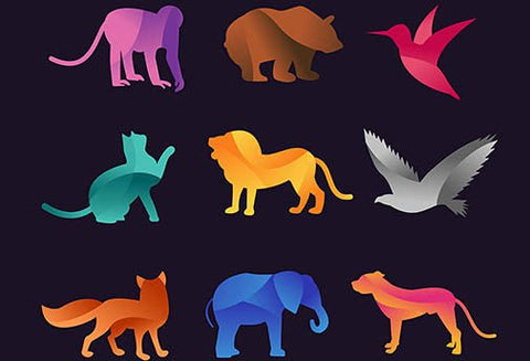 La Lumière de la Communication Animale - Un Lieu de Lumière - cours à distance en ligne de soins énergétiques