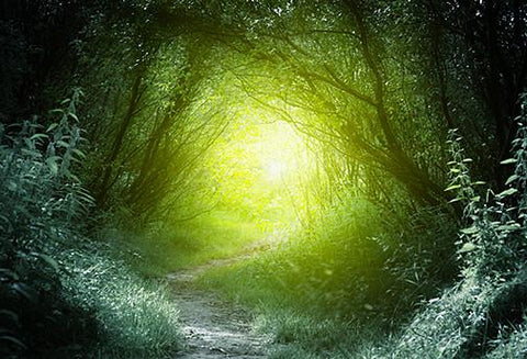 La Magie de Brocéliande et de la Fée Viviane - Un Lieu de Lumière - cours à distance en ligne de soins énergétiques