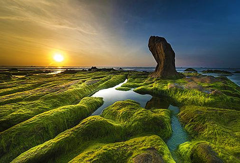 La Médecine du Mandala de La Nature - Un Lieu de Lumière - cours à distance en ligne de soins énergétiques
