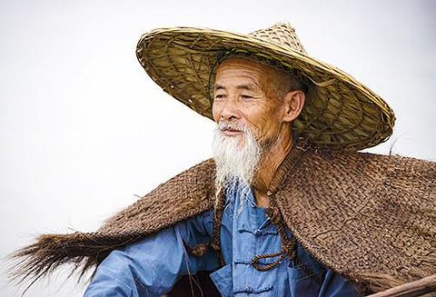 L'Acupuncture Ethérique - Un Lieu de Lumière - cours à distance en ligne de soins énergétiques