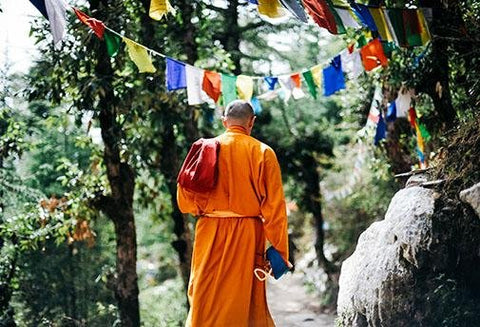 Le gTumo Candali Mao Shan - Un Lieu de Lumière - cours à distance en ligne de soins énergétiques