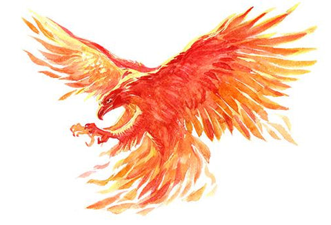 Le Phénix Noir de Protection - Un Lieu de Lumière - cours à distance en ligne de soins énergétiques