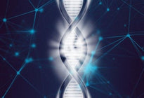 Le Reiki ADN - Un Lieu de Lumière - cours à distance en ligne de soins énergétiques