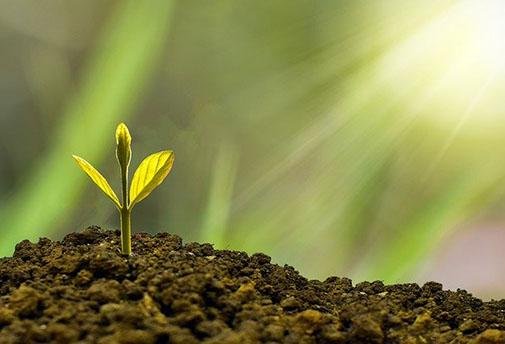 Le Reiki de La Provision Divine Niveau II