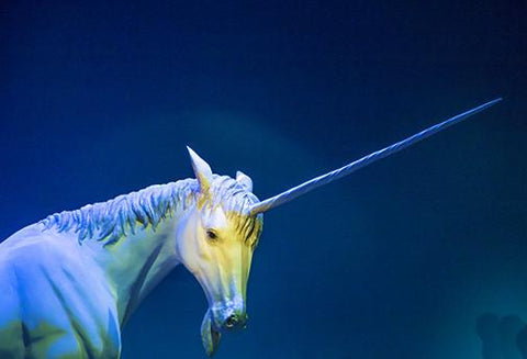 Le Système de Guérison de La Licorne - Un Lieu de Lumière - cours à distance en ligne de soins énergétiques