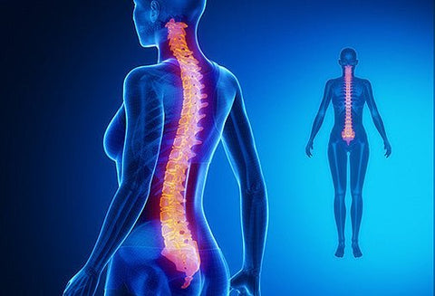 Les Soins de la Colonne Vertébrale - Un Lieu de Lumière - cours à distance en ligne de soins énergétiques