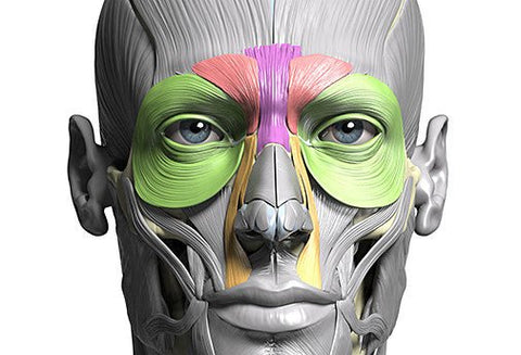 Les Soins de la Tête - Un Lieu de Lumière - cours à distance en ligne de soins énergétiques