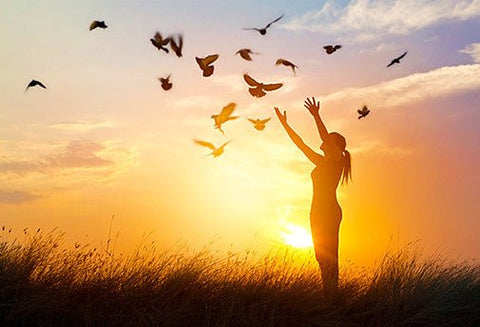 Les Soins des Emotions - Un Lieu de Lumière - cours à distance en ligne de soins énergétiques