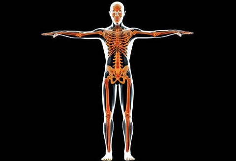 Les Soins des Os - Un Lieu de Lumière - cours à distance en ligne de soins énergétiques