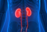 Les Soins des Reins et de la Vessie - Un Lieu de Lumière - cours à distance en ligne de soins énergétiques
