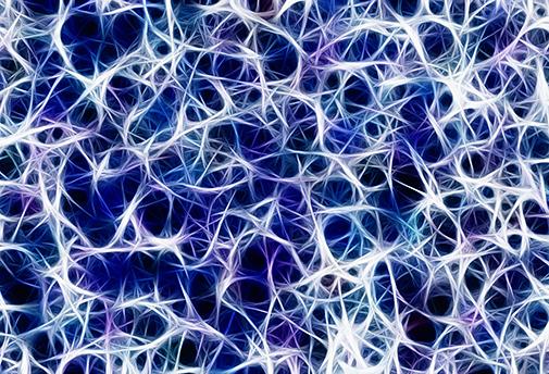 Les Soins des synapses