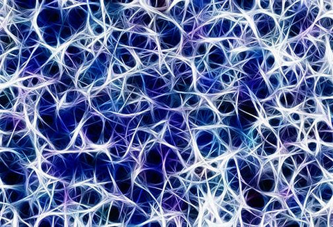 Les Soins des synapses - Un Lieu de Lumière - cours à distance en ligne de soins énergétiques