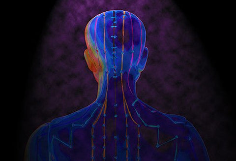 Les Soins du Méridien Triple Réchauffeur - Un Lieu de Lumière - cours à distance en ligne de soins énergétiques