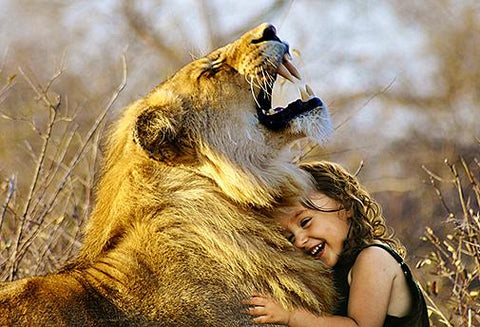 Les Soins énergétiques de l'Articulation Temporo-Mandibulaire - Un Lieu de Lumière - cours à distance en ligne de soins énergétiques