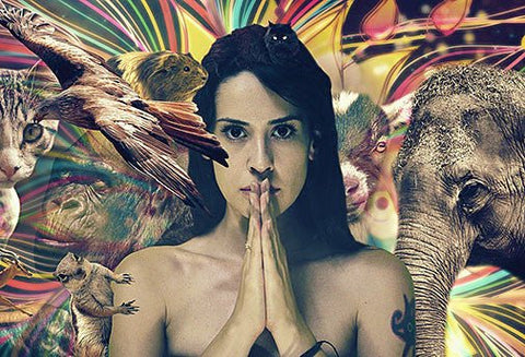 Offre spéciale Chamanisme - Un Lieu de Lumière - cours à distance en ligne de soins énergétiques