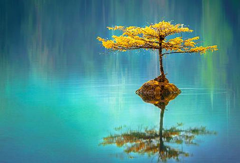 Offre Spéciale Grand Maître Reiki Niveaux 5 à 18 - Un Lieu de Lumière - cours à distance en ligne de soins énergétiques