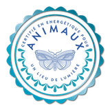 Offre spéciale les cours sur les Animaux - Un Lieu de Lumière - cours à distance en ligne de soins énergétiques