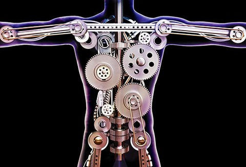 Offre Spéciale sur Le Corps Humain - Un Lieu de Lumière - cours à distance en ligne de soins énergétiques