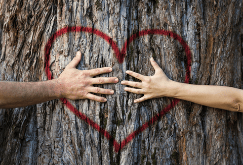 Ré-Alignement Axiatonal - Un Lieu de Lumière - cours à distance en ligne de soins énergétiques