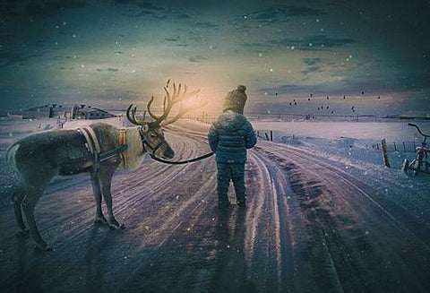 Reiki Faire le Deuil d'un Animal - Un Lieu de Lumière - cours à distance en ligne de soins énergétiques